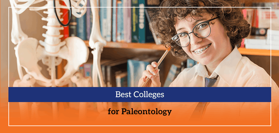 Best Colleges for Paleontology