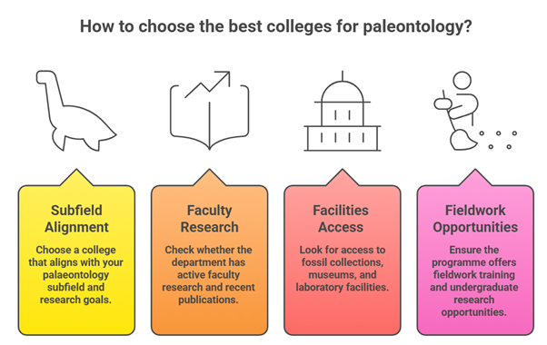 How to choose the best colleges for palenontology