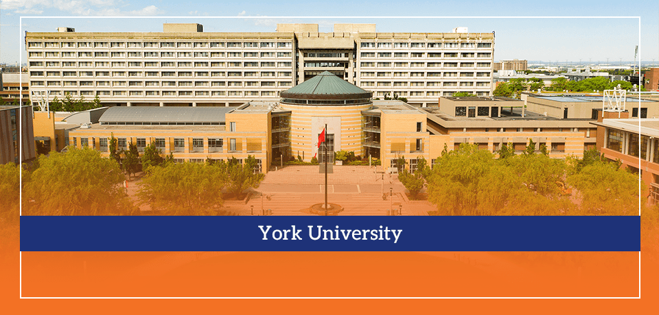 York University