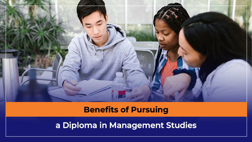 Benefits of Pursuing a Diploma in Management Studies