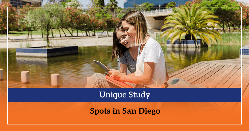 Unique Study Spots in San Diego