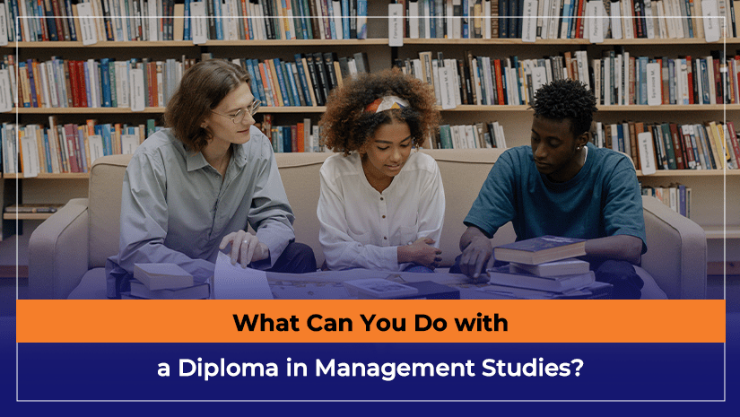 What Can You Do with a Diploma in Management Studies